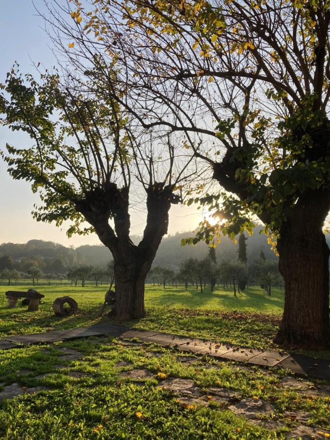 Agriturismo San Michele Vicenza Bagian luar foto