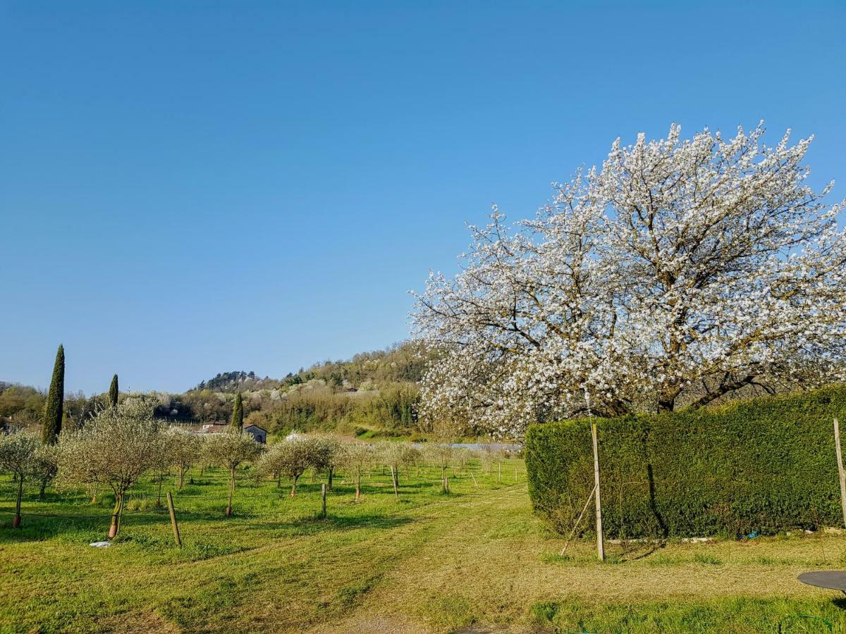 Agriturismo San Michele Vicenza Bagian luar foto